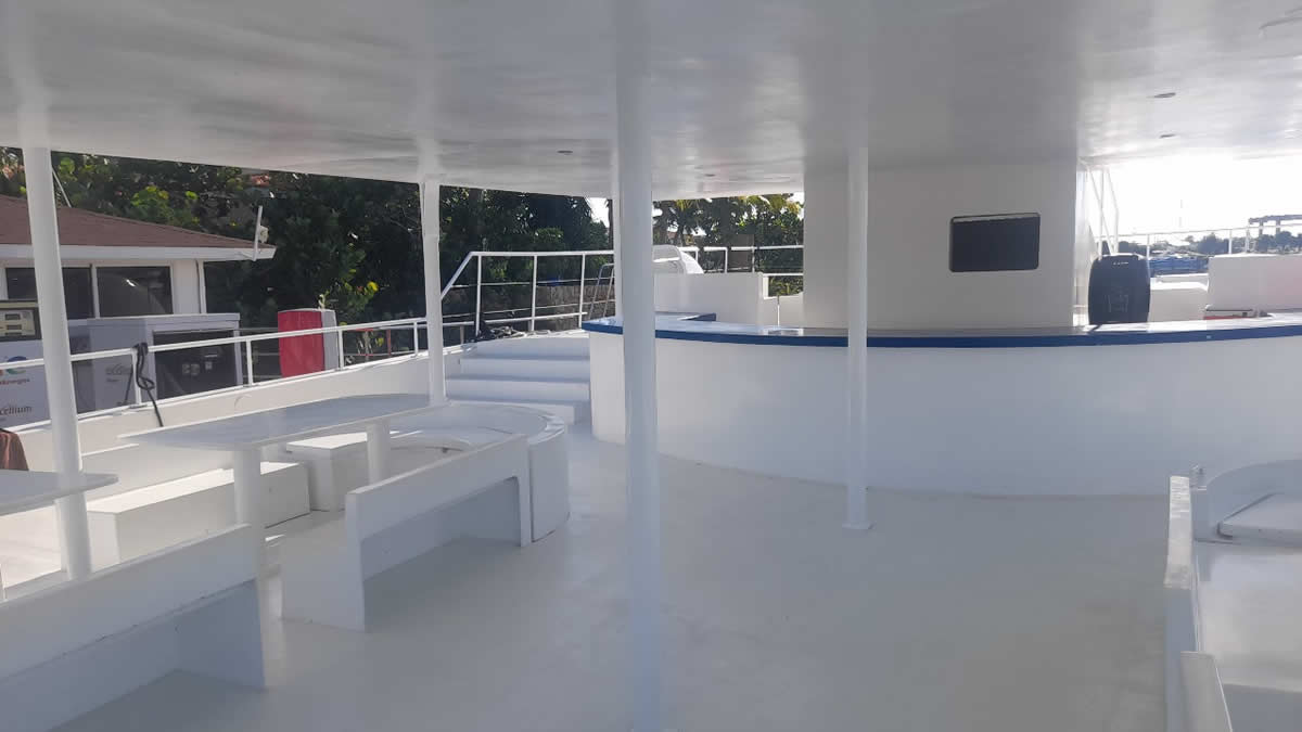 lyz-private-catamaran-charter-romana-saona-catalina-island-palmilla-12