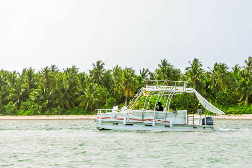 BPCY83, Small Private catamaran “Discovery” Bavaro